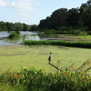 Brazos Bend State Park - Parks Near Me - Needville, Texas Brazos Bend State Park - Parks Near Me - Needville, Texas