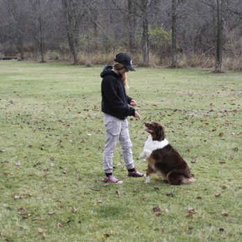 Riverside Canine - Pet Training Near Me - St. Louis, Michigan