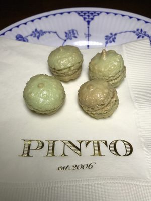 Pinto Garden by null
