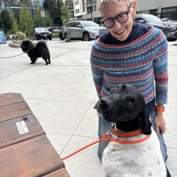 Outside sitting, dog friendly. Outside sitting, dog friendly.