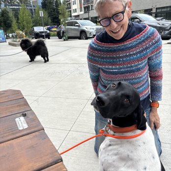 Skog Haus Coffee - Outside sitting, dog friendly. - Coffee & Tea Near Me - Mountlake Terrace, Washington Skog Haus Coffee - Outside sitting, dog friendly. - Coffee & Tea Near Me - Mountlake Terrace, Washington