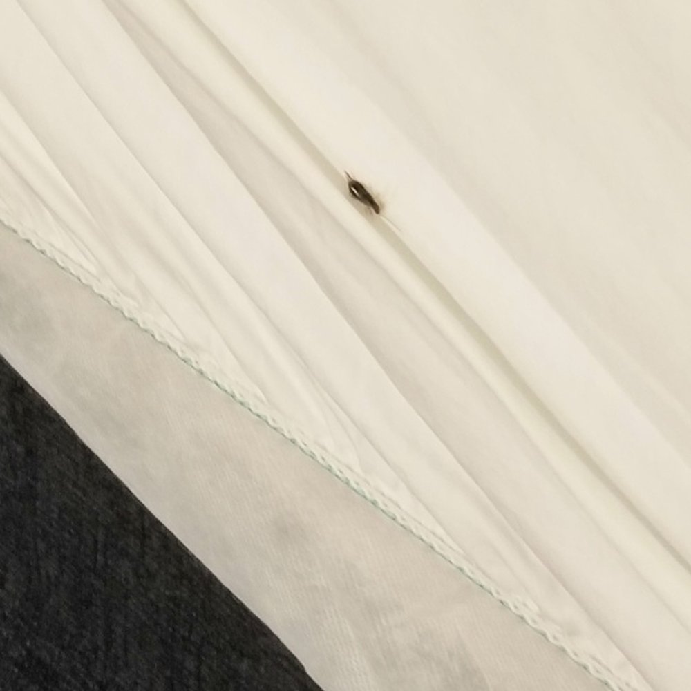 Sawmill Creek Resort - Bug on bed! - Venues & Event Spaces Near Me - Huron, Ohio Sawmill Creek Resort - Bug on bed! - Venues & Event Spaces Near Me - Huron, Ohio