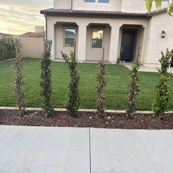 Moon Valley Nurseries - And Another 1! DJ Khaled! Moon ain't the best! - Nurseries & Gardening Near Me - Fillmore, California