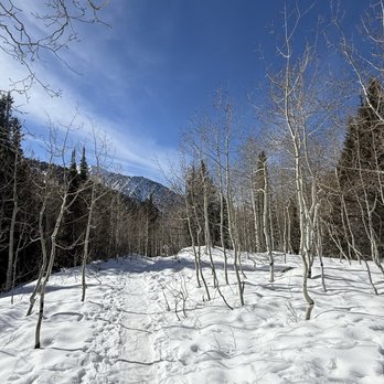 White Pine Trail - Hiking Near Me - Salt Lake City, Utah White Pine Trail - Hiking Near Me - Salt Lake City, Utah