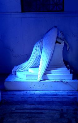 Metairie Cemetery by null