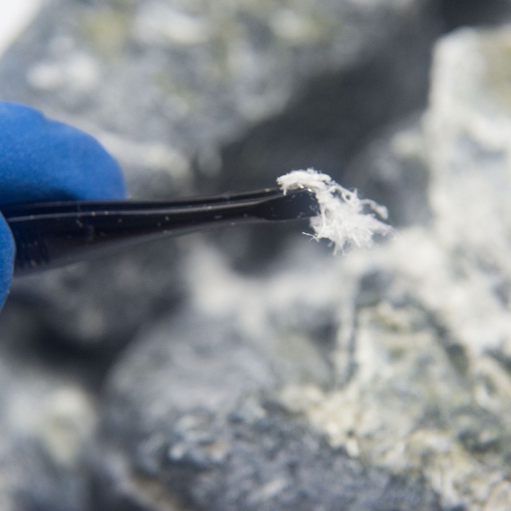 Air and Green Tech - mold inspector in Washington, DC, DC