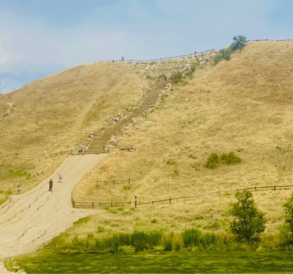 Camel’s Back Park by null