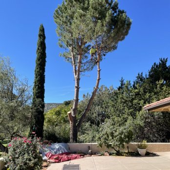 Fernando's Tree Service and Maintenance - Middle close to finish - Tree Services Near Me Fernando's Tree Service and Maintenance - Middle close to finish - Tree Services Near Me