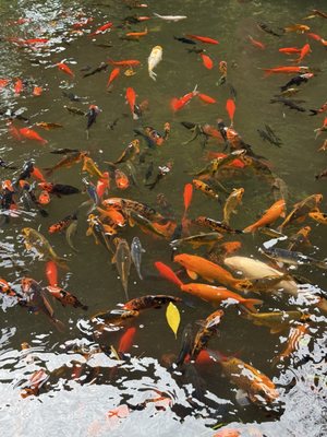 Valley of the Temples Memorial Park, Cemetery, Cremation, Funeral by null