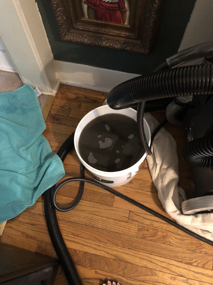 MINT CARPET CARE 58 Reviews Carpet Cleaning Los
