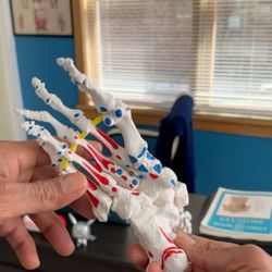 Corrective Movement Therapy
