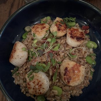 Laura Lee's - Scallops - New American Near Me - Richmond, Virginia Laura Lee's - Scallops - New American Near Me - Richmond, Virginia
