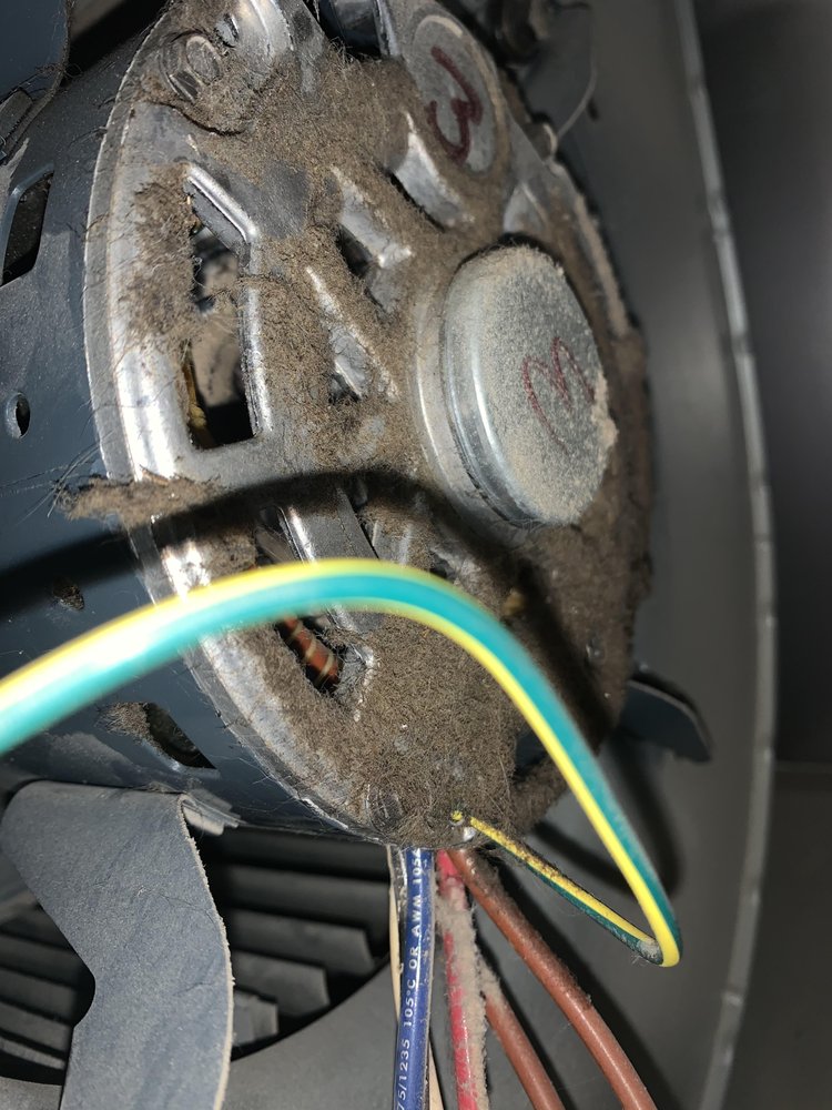 MILE HIGH DUCTS Updated October 2024 42 Photos & 11 Reviews 6300