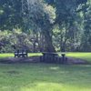Townsend Park gift card