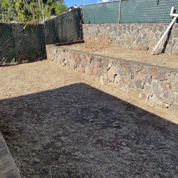 CJ Landscape and Yard Maintenance - No more dying banana trees. - Landscaping Near Me - Honolulu, Hawaii