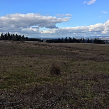 Powell Butte Nature Park - View of the field - Parks Near Me - Portland, Oregon