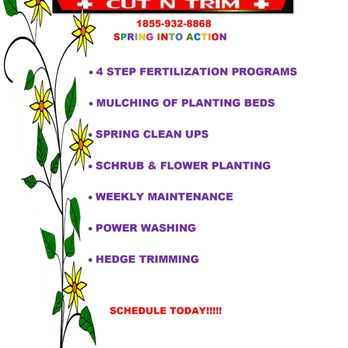 Emergency Cut N Trim - instructions for spring into action - Landscaping Near Me Emergency Cut N Trim - instructions for spring into action - Landscaping Near Me