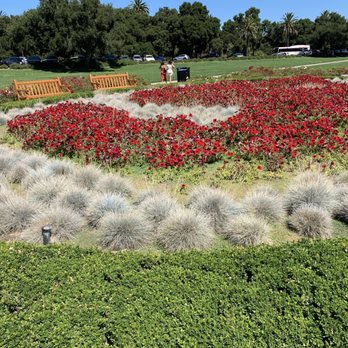 Stanford University - Colleges & Universities Near Me - Stanford, California Stanford University - Colleges & Universities Near Me - Stanford, California