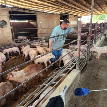 Corona Cattle - Butcher Near Me - Corona, California