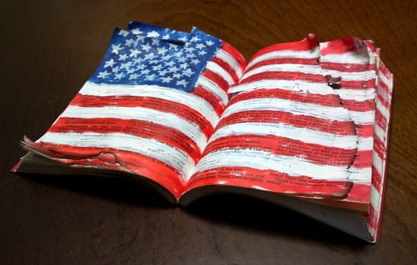 The American Plumber Logo