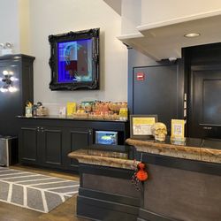 Staypineapple, An Iconic Hotel, The Loop