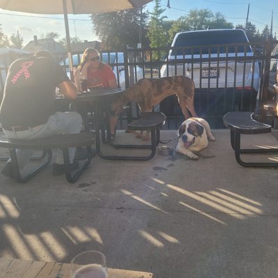 Earnest Brew Works by null