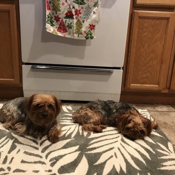 Blue Mountain Animal Clinic - Veterinarians Near Me - Sequim, Washington Blue Mountain Animal Clinic - Veterinarians Near Me - Sequim, Washington