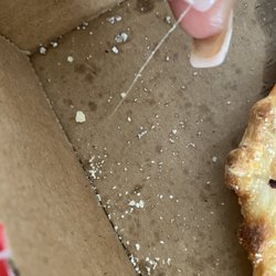 7 Star Pizza