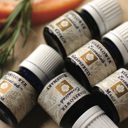Refresh By Robin Organic Skincare Studio - At the start of each service, you may choose an essential oil of choice-to use for aromatherapy and massage.