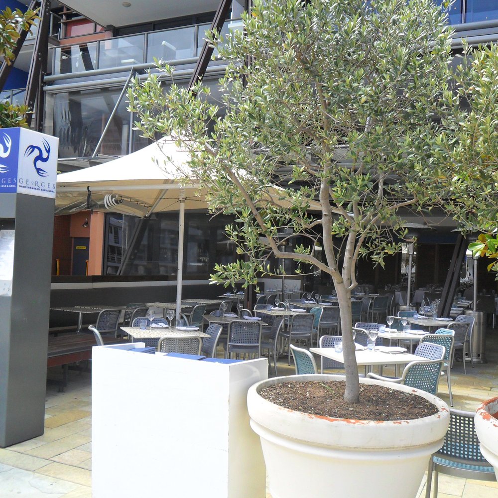 Georges - Mediterranean Near Me - Sydney, NSW