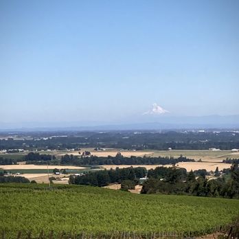 Brooks Wine - Wineries Near Me - Amity, Oregon