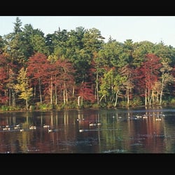 Clark's Canoe Rental