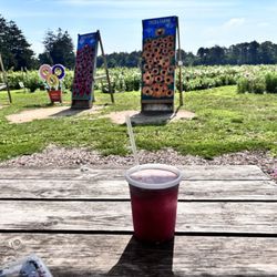 Blueberry lemonade