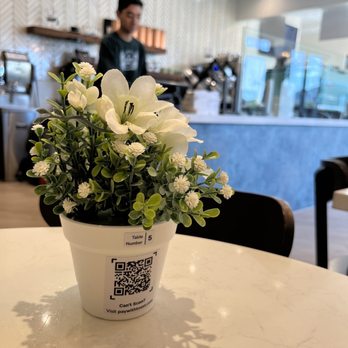 Horizon Shine - Scannable menu! - Coffee & Tea Near Me - Henderson, Nevada