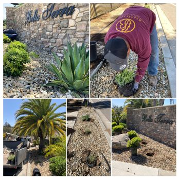 Bajascape - PLANTING - Landscaping Near Me