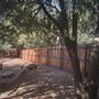 Photo of D Fence Man