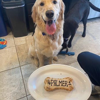 Three Dog Bakery - Pet Stores Near Me - Cincinnati, Ohio