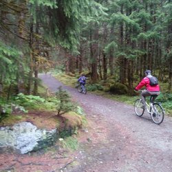 A Glacier Walk Bed & Breakfast - Trail to Mendenhall Glacier from B&B