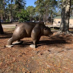 Jacksonville North / St. Marys KOA