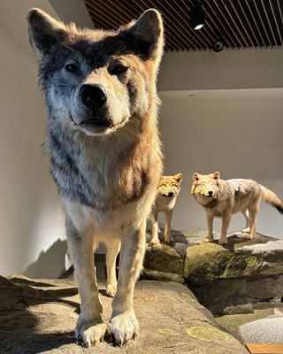 Mashantucket Pequot Museum & Research Center by null