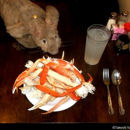 Snow Crabs Snow Crabs