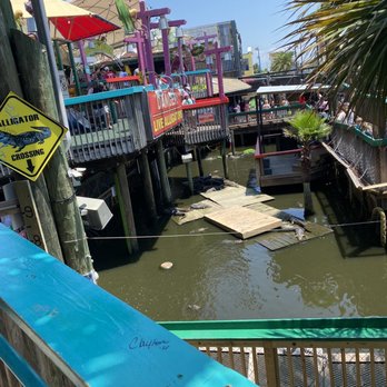Fudpucker's - Alligators - Seafood Near Me - Destin, Florida