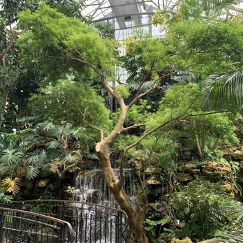 Krohn Conservatory - Botanical Gardens Near Me - Cincinnati, Ohio