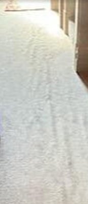 Seattle Gaslight Inn by null