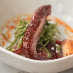 Nico - Octopus Scallop Escabèche