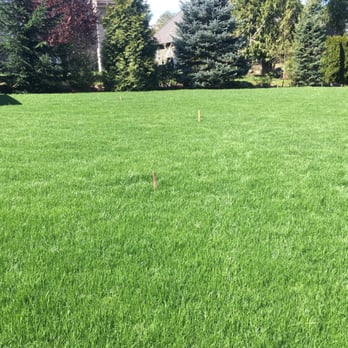 Grassmaster - A great lawn grown by Grassmaster - Landscaping Near Me Grassmaster - A great lawn grown by Grassmaster - Landscaping Near Me