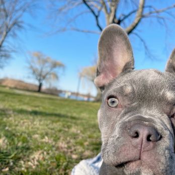 Modern Pet - Pet Stores Near Me - Bayside, New York Modern Pet - Pet Stores Near Me - Bayside, New York