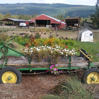 Mama's Garden - Fruits & Veggies Near Me - Deming, Washington