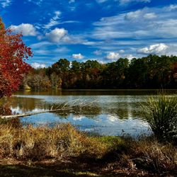 Chester State Park