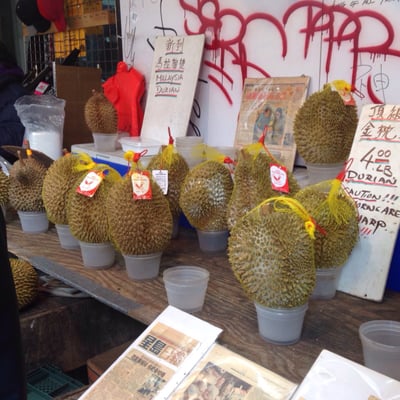 Durian NYC by null